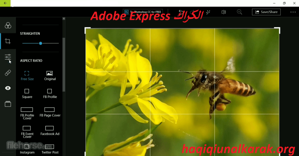 Adobe Express الكراك زائد تنزيل مجاني