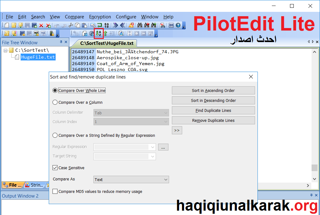 PilotEdit Lite لنظام التشغيل Windows تنزيل مجاني